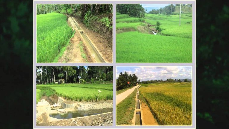 JMS comment on Duterte signing Free Irrigation Service Act